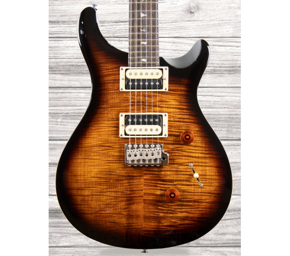 PRS SE Custom 24 BG PRS SE Custom 24 BG